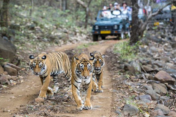 Rathambore