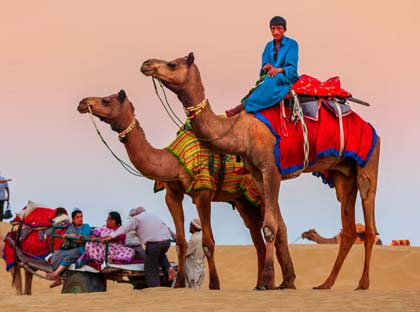 rajasthan camel safari